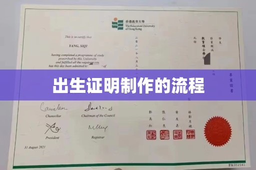 东光出生证明制作的流程